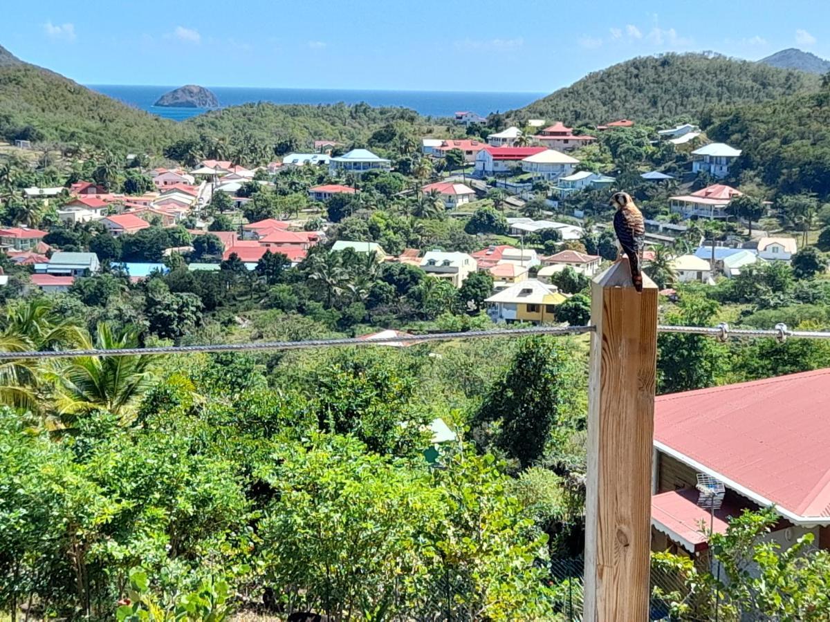 Ti Kaz Anoli Vue Epoustouflante Sur La Baie Terre-de-Bas Exterior foto